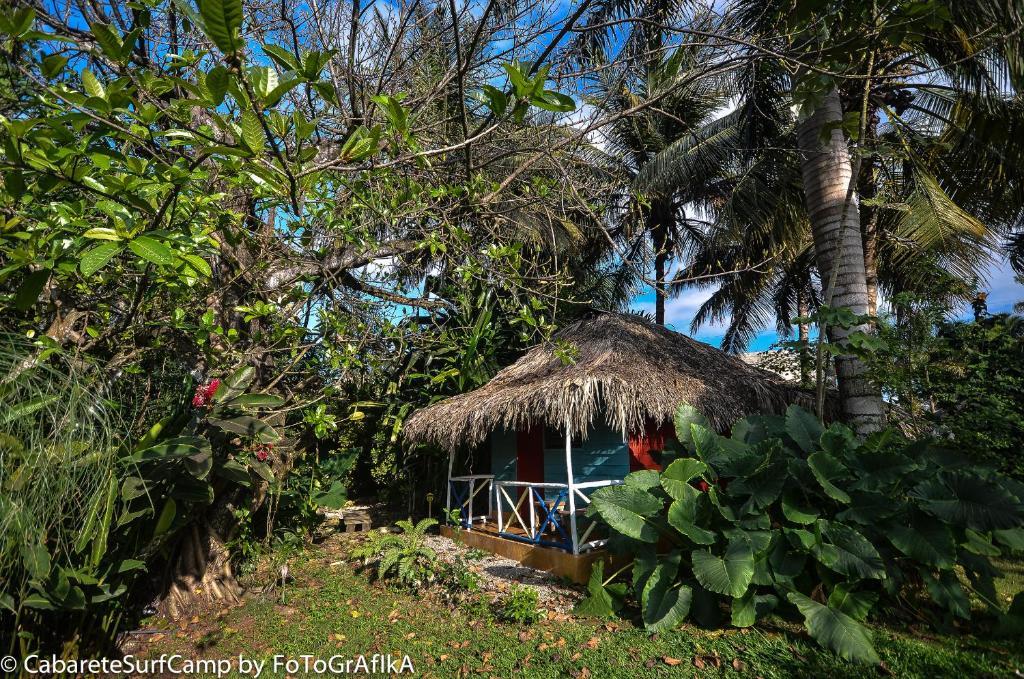Cabarete Surf Camp Hotel Exterior foto