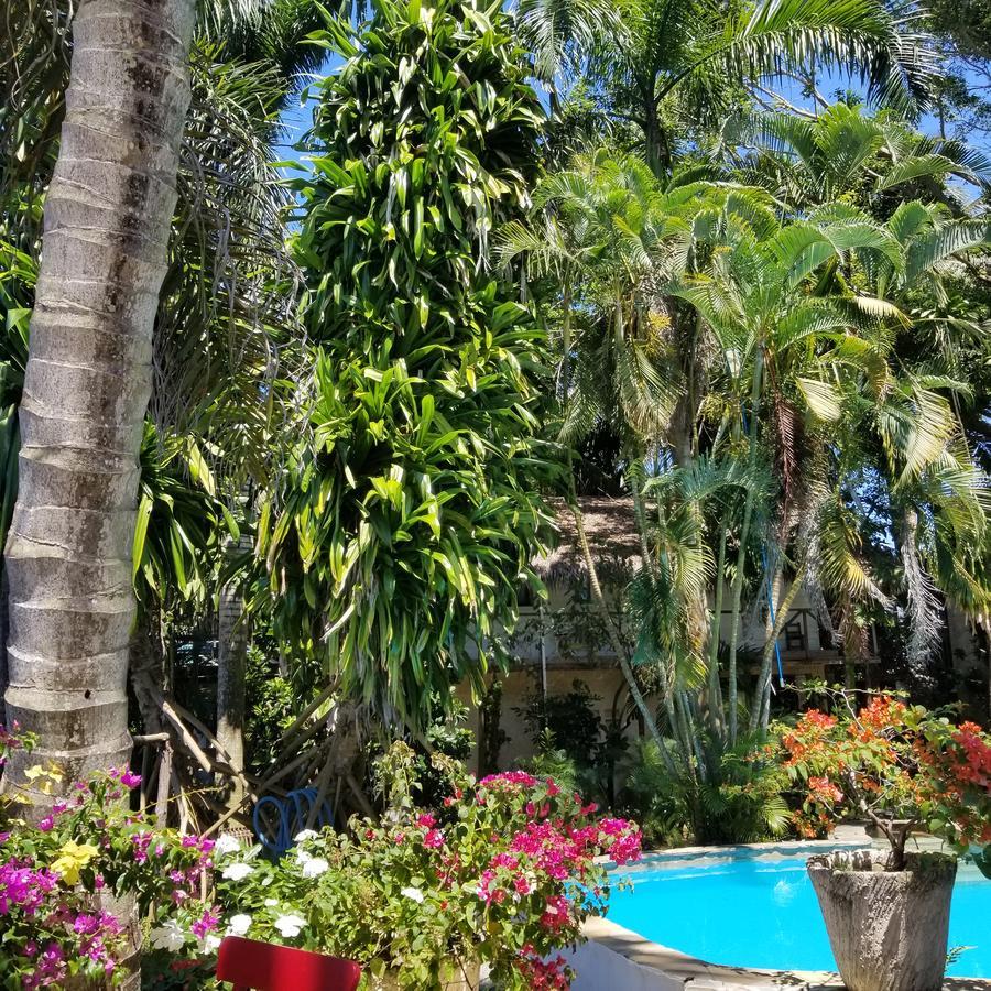 Cabarete Surf Camp Hotel Exterior foto